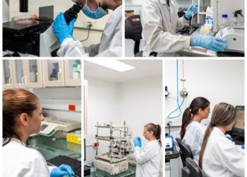 Facultad de Tecnología resalta la renovación del registro calificado del Doctorado en Biotecnología