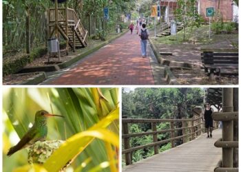 La Oficina de Planeación y su aporte a los 15 años de la Política Ambiental de la UTP