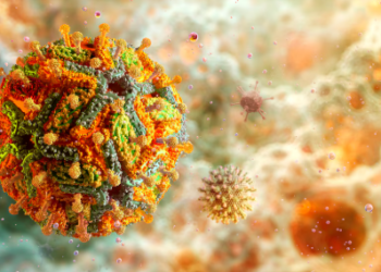 Fiebre amarilla en Tolima deja 10 fallecidos en 2026 y mantiene alertas por ingreso de población sin vacunación