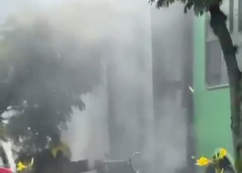 ¡SEGUIMOS REMPLAZANDO LOS BUSES CHIMENEA!