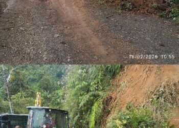 ALCALDÍA DE PEREIRA ATIENDE DERRUMBE EN VEREDA LA AMOLADORA Y DEJA LA VÍA HABILITADA