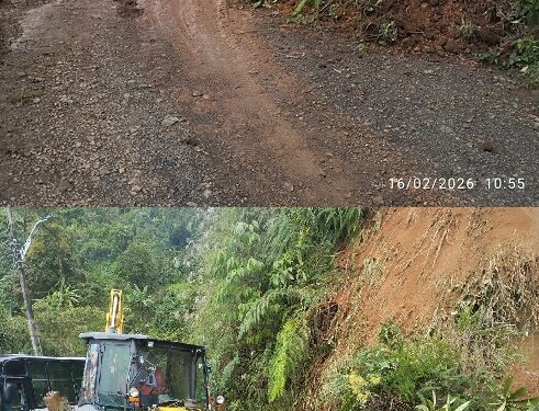 ALCALDÍA DE PEREIRA ATIENDE DERRUMBE EN VEREDA LA AMOLADORA Y DEJA LA VÍA HABILITADA