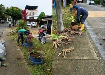 SECRETARÍA DE INFRAESTRUCTURA INTERVIENE EL PARQUE BELLA SARDI EN CONSOTA