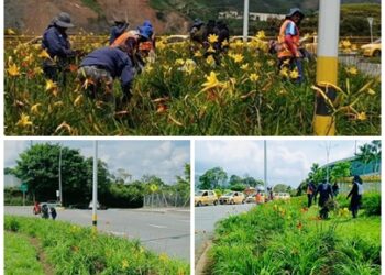 CUIDAR LAS ZONAS VERDES TAMBIÉN ES UN ACTO DE AMOR POR LA CIUDAD