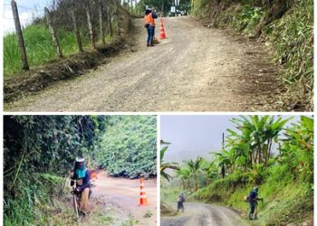 AVANZAN LABORES DE ROCERÍA Y MANTENIMIENTO VIAL EN ZONA RURAL DE PEREIRA