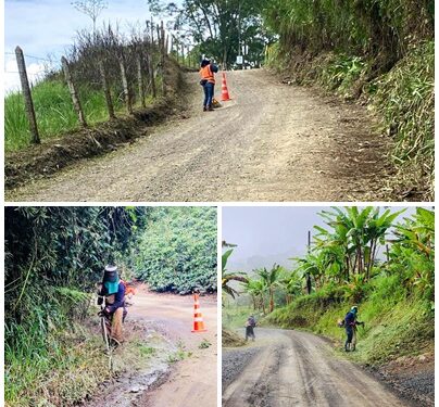 AVANZAN LABORES DE ROCERÍA Y MANTENIMIENTO VIAL EN ZONA RURAL DE PEREIRA