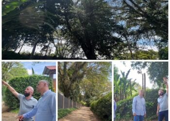 Equipo técnico de la Dirección de Parques, inspeccionó árboles reportados en riesgo