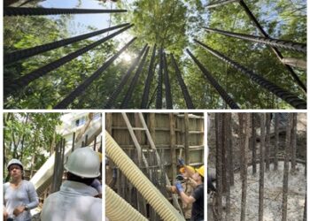 ALCALDÍA DE PEREIRA AVANZA EN OBRAS DE PROTECCIÓN Y MITIGACIÓN EN LA QUEBRADA LA MIELITA DE BELMONTE