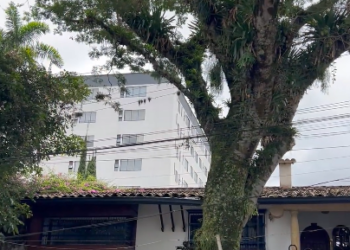 TALA CONTROLADA EN LOS ÁLAMOS POR SEGURIDAD DE LA COMUNIDAD