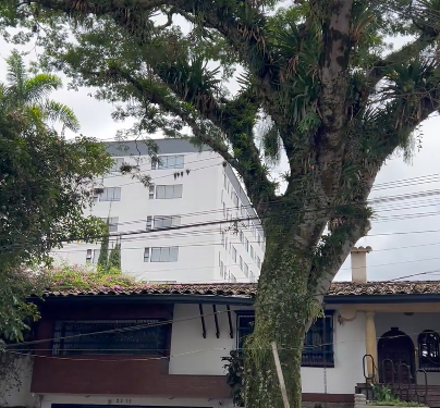 TALA CONTROLADA EN LOS ÁLAMOS POR SEGURIDAD DE LA COMUNIDAD