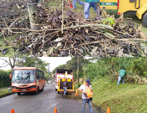 LOS RESIDUOS VEGETALES SON MATERIAL ORGÁNICO PARA EL SUELO PEREIRANO