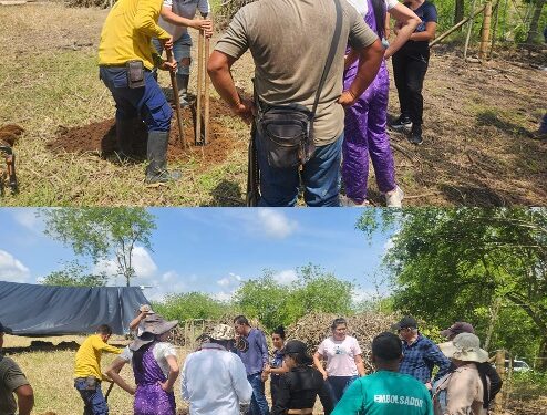 SEGUIMIENTO A PROYECTOS PRODUCTIVOS DE FIRMANTES DE PAZ