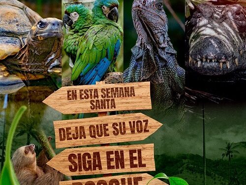 Ukumarí lanza la campaña “En Semana Santa, deja que su voz siga en el bosque”