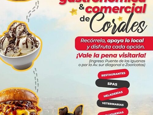 ¡CORALES LO TIENE TODO PARA TI!