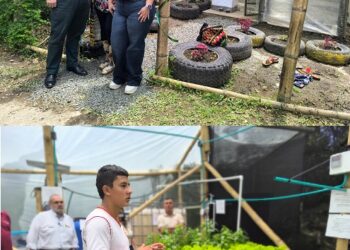 Sistema acuapónico en la Institución Educativa de Combia impulsa la sostenibilidad y el aprendizaje ambiental