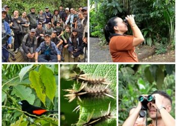 En Pereira se realizó el lanzamiento del Risaralda Bird Festival 2026