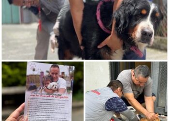 ¡VACUNACIÓN ANTIRRÁBICA Y CONVIVENCIA RESPONSABLE!