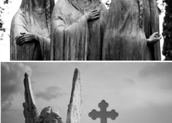 Facultad de Bellas Artes y Humanidades denuncia robo de obras de arte en el campus