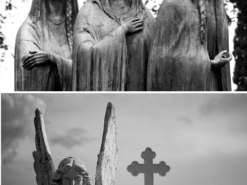 Facultad de Bellas Artes y Humanidades denuncia robo de obras de arte en el campus