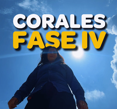 ATENCIÓN, ¡NUEVOS CAMBIOS VIALES EN CORALES!