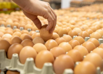 Aumento en el precio del pollo, del huevo y de la leche será inevitable por el paro contra el impuesto predial: habrá sobrecostos