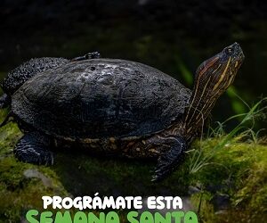 Ukumarí: El destino imperdible para conectar con la vida y la naturaleza en esta Semana Santa