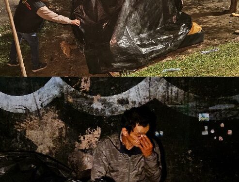 Alcaldía de Pereira desmonta 7 cambuches bajo el Viaducto