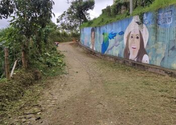 MANTENIMIENTO VIAL EN COMBIA ALTA