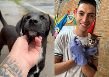 JORNADA DE ATENCIÓN A MASCOTAS EN LA VEREDA ALTO ERAZO, DEL CORREGIMIENTO DE COMBIA