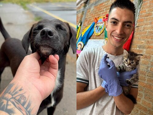 JORNADA DE ATENCIÓN A MASCOTAS EN LA VEREDA ALTO ERAZO, DEL CORREGIMIENTO DE COMBIA