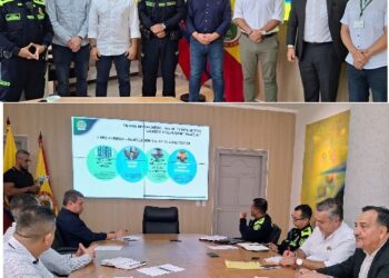 BUEN BALANCE DE LA POLICÍA SOBRE APLICACIÓN DE LA LEY 1801, ANTE EL COMITÉ CIVIL DE CONVIVENCIA