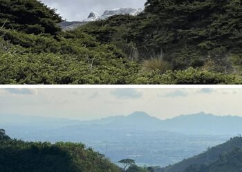 Gestión ambiental con resultados: protección del agua, conservación y sostenibilidad marcan el avance en Pereira