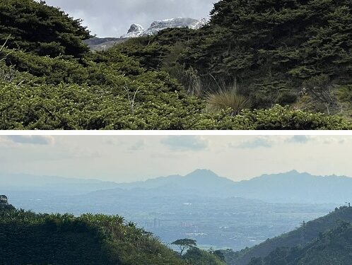 Gestión ambiental con resultados: protección del agua, conservación y sostenibilidad marcan el avance en Pereira