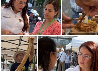 Pereira se proyecta en el Panela Fest 2026 con la participación activa de productores y emprendedores rurales.