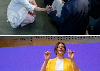 El “trasplante Etico” de lo los ciudanos: España mejor.