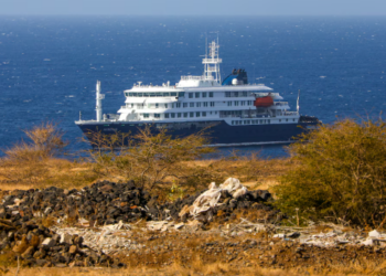 Hantavirus en un crucero: dos nuevos casos, cinco bajo sospecha y la búsqueda contrarreloj de los pasajeros de un vuelo