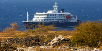 Hantavirus en un crucero: dos nuevos casos, cinco bajo sospecha y la búsqueda contrarreloj de los pasajeros de un vuelo