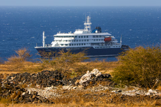 Hantavirus en un crucero: dos nuevos casos, cinco bajo sospecha y la búsqueda contrarreloj de los pasajeros de un vuelo