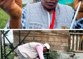 14 JORNADAS DE INSPECCIÓN FORTALECEN LA PREVENCIÓN DE MALARIA EN PEREIRA