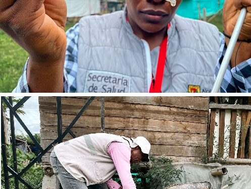 14 JORNADAS DE INSPECCIÓN FORTALECEN LA PREVENCIÓN DE MALARIA EN PEREIRA