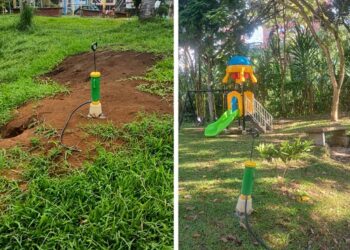 ALCALDÍA DE PEREIRA CONTINÚA CONTROL DE HORMIGA ARRIERA EN ZONAS VERDES