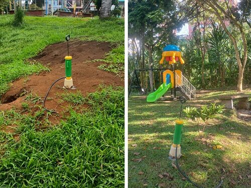 ALCALDÍA DE PEREIRA CONTINÚA CONTROL DE HORMIGA ARRIERA EN ZONAS VERDES