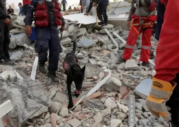 Venezuela hoy 29 de junio tras terremotos: 47 connacionales vuelven hoy a Colombia y se mantiene búsqueda de 19; aumentan a 1.719 los fallecidos