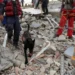 Venezuela hoy 29 de junio tras terremotos: 47 connacionales vuelven hoy a Colombia y se mantiene búsqueda de 19; aumentan a 1.719 los fallecidos