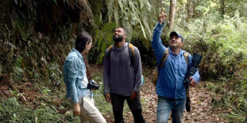 CARDER fortaleció el monitoreo y la conservación de especies de flora amenazadas en la Serranía Alto del Nudo