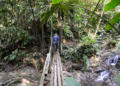 Los bosques tropicales de Risaralda: un patrimonio vivo que impulsa la biodiversidad