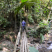 Los bosques tropicales de Risaralda: un patrimonio vivo que impulsa la biodiversidad