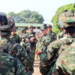 Nuevo enfrentamiento entre el Ejército y grupos armados en la Sierra Nevada: esto se sabe