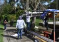 Alcaldía de Pereira avanza en la recuperación del espacio público y parques seguros
