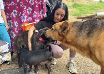 La historia de fe y amor detrás del Refugio Mariano y la Mascotatón